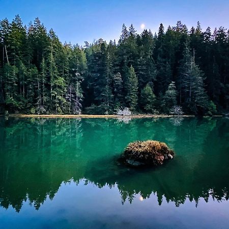 Mendocino Redwood Retreat - Vista Home Albion Екстериор снимка