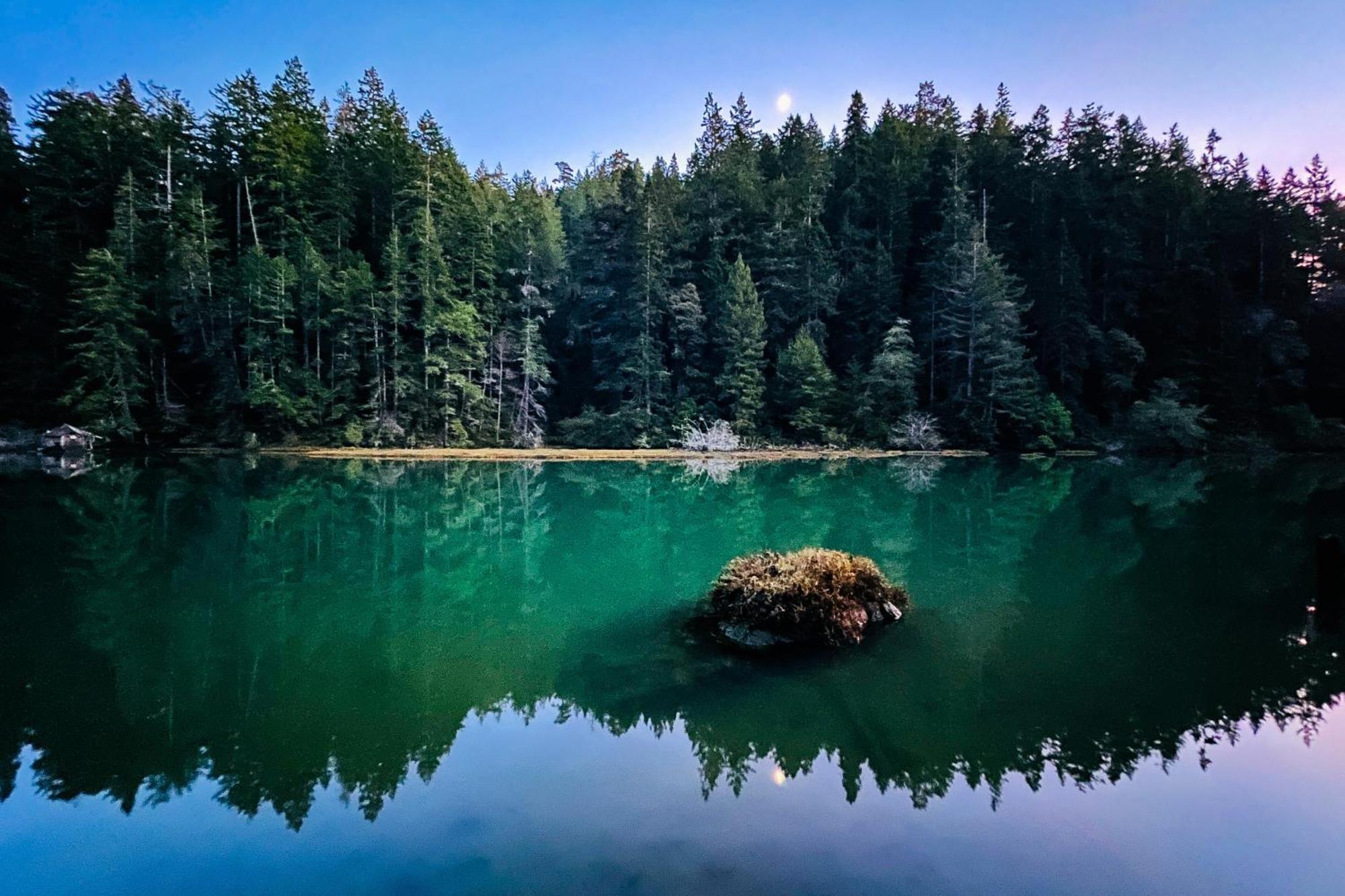 Mendocino Redwood Retreat - Vista Home Albion Екстериор снимка