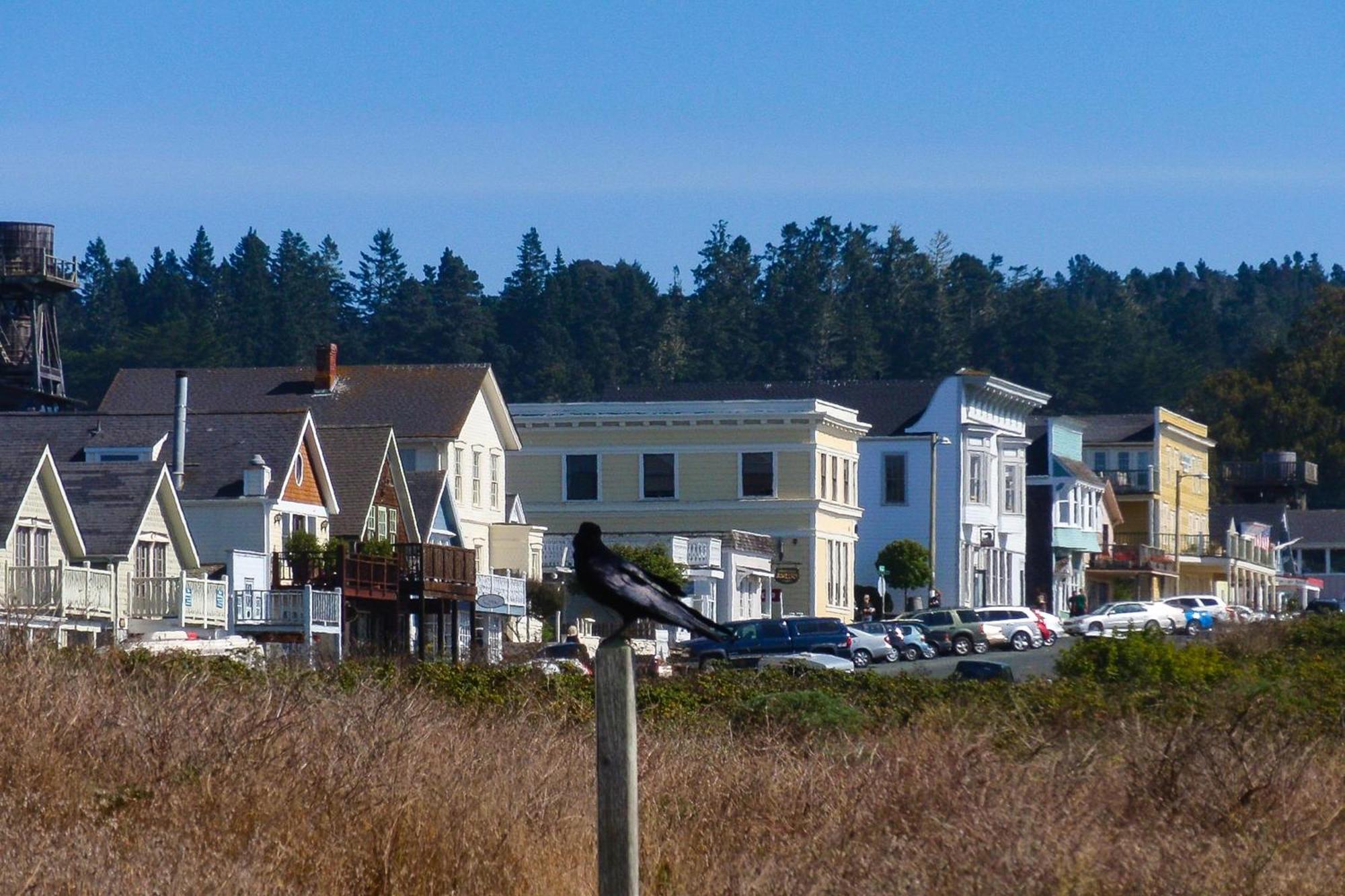Mendocino Redwood Retreat - Vista Home Albion Екстериор снимка