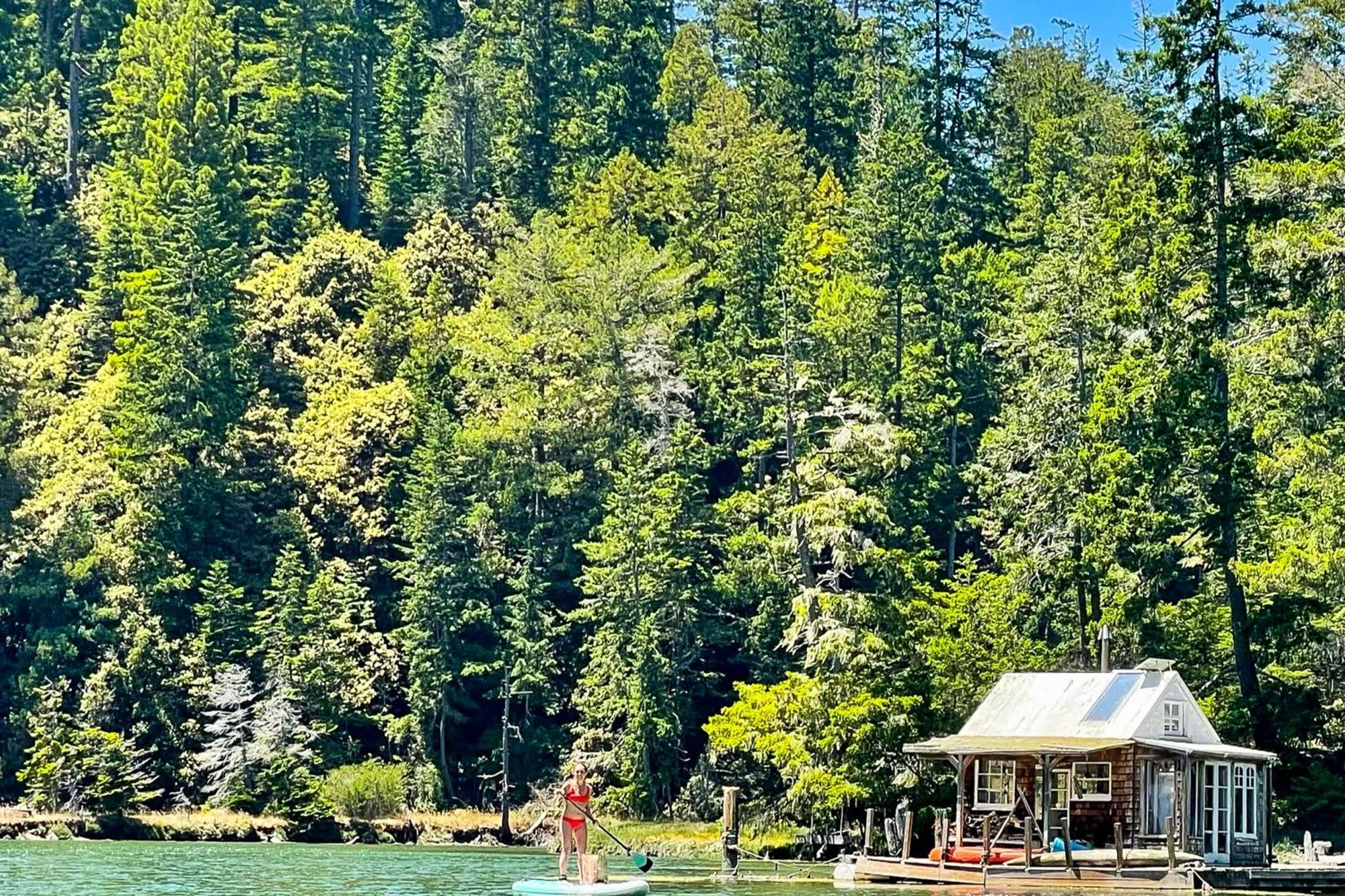Mendocino Redwood Retreat - Vista Home Albion Екстериор снимка