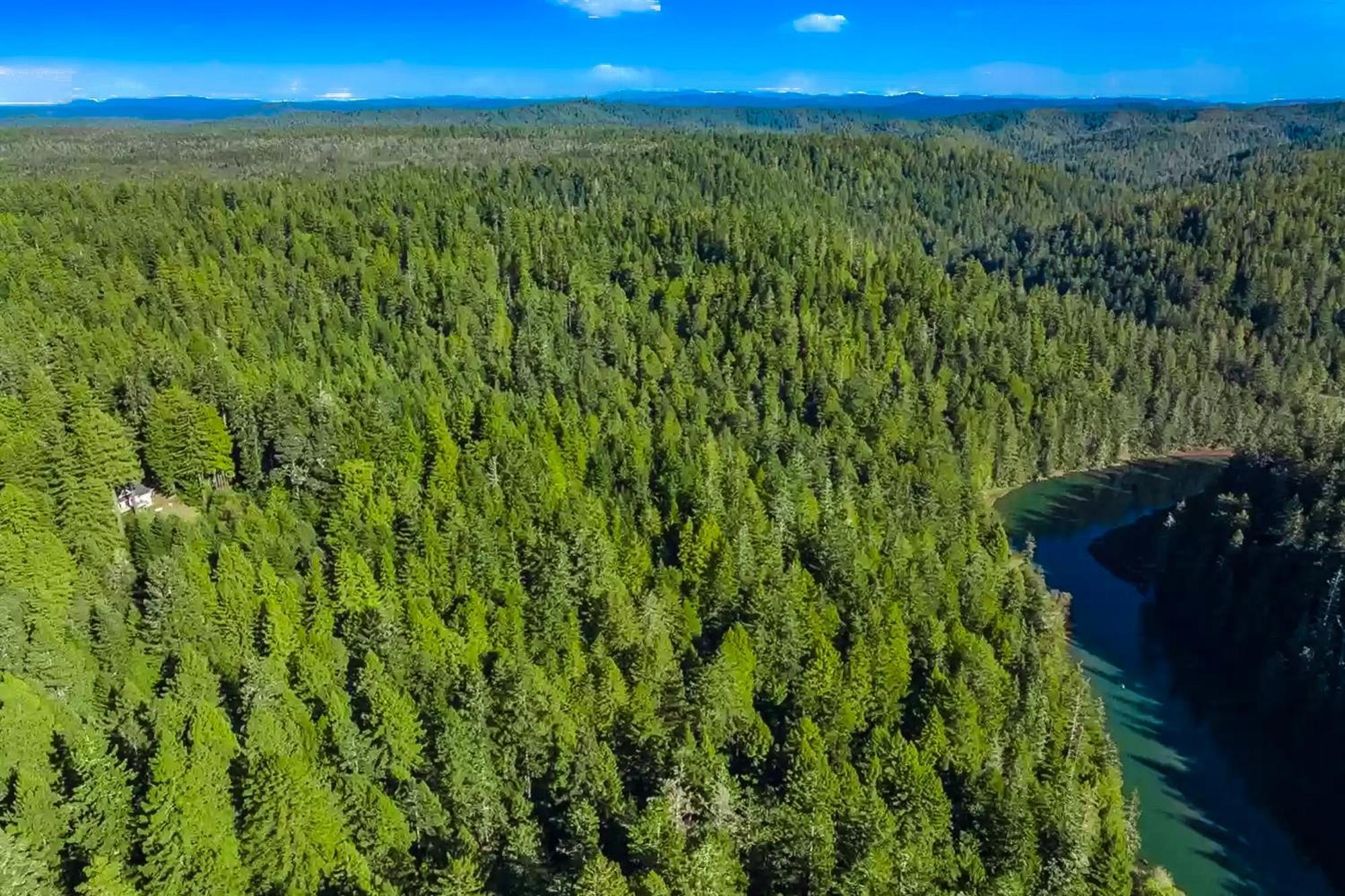 Mendocino Redwood Retreat - Vista Home Albion Екстериор снимка