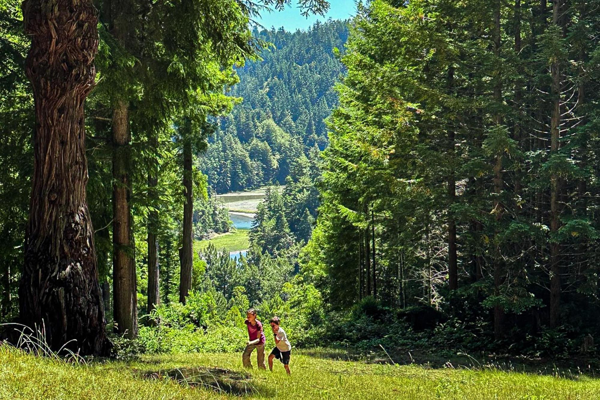 Mendocino Redwood Retreat - Vista Home Albion Екстериор снимка