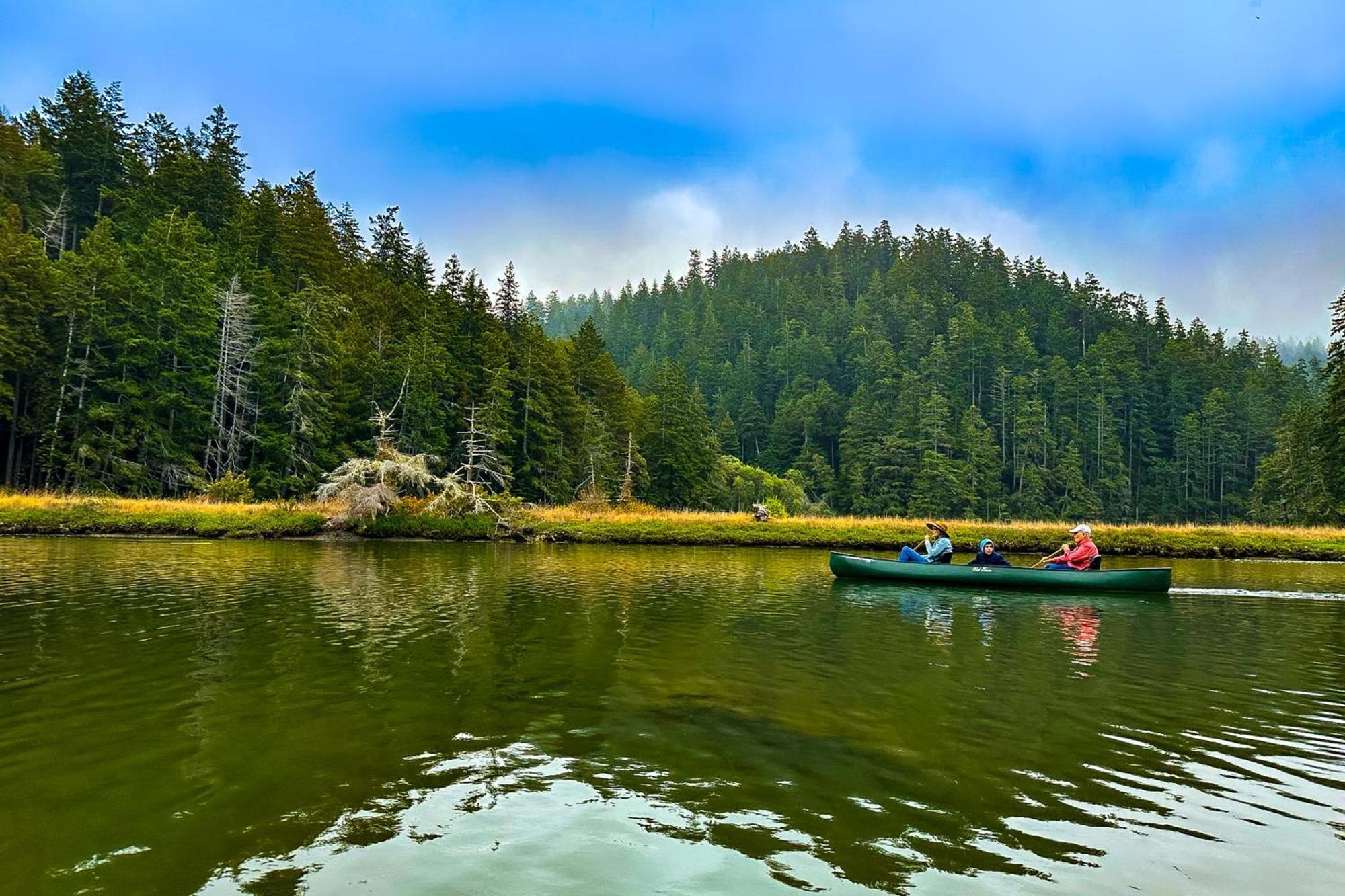 Mendocino Redwood Retreat - Vista Home Albion Екстериор снимка